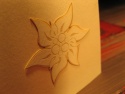 Detaliu floare de colt gravata, decupata si aplicata